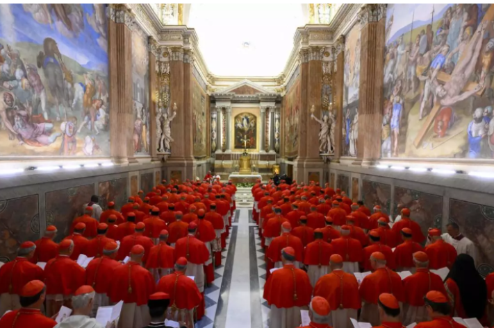 cardinaux_au_vatican_avant_conclave_25_jpg_711_473_1