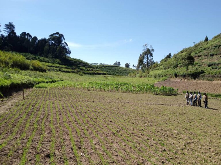 bitmap_1200_nocrop_1_1_20221004170545567851_IMG-20221004-WA0026