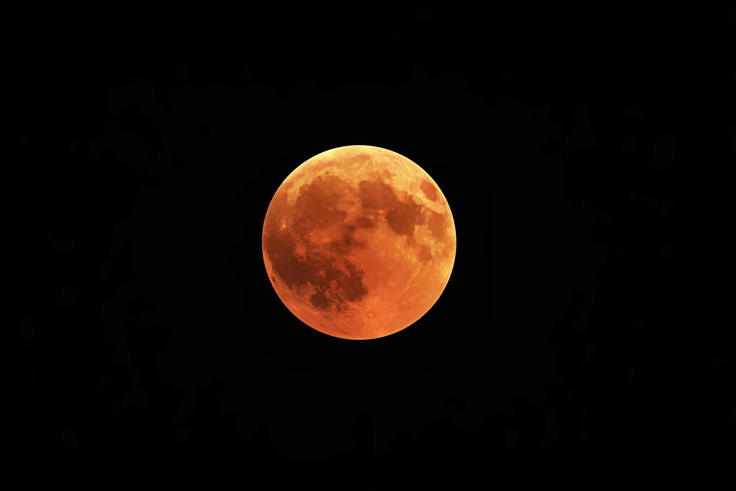 The+full+Blood+Moon+glowing+against+the+black+night+sky_