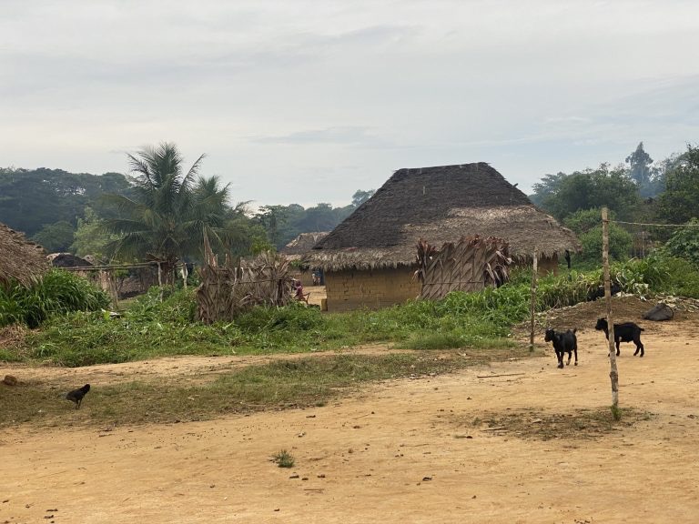 96786744-14ba-42fd-8eeb-074b64de8f1b